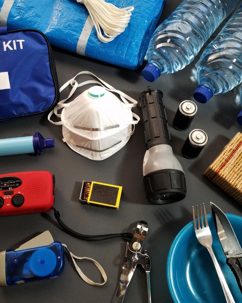 星川大地の政策ビジョン: 命の「砦」を、築く。